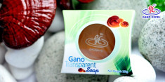 Sapun Gano Transparent Soap foto