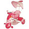 Tricicleta Pentru Copii Mykids Hippo Sb-612 Roz