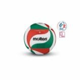 Minge volei Molten V5M4800 piele naturala foto