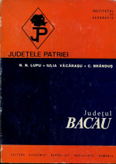 Judetul Bacau - Autor : Lupu - 137129 foto