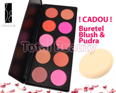 Trusa paleta blush 10 culori Fraulein38 Germania fard obraz + CADOU Buretel foto