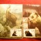 Set 2 Maxime - Fauna 1972, 1983