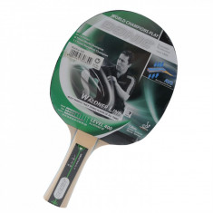 Paleta ping pong Schildkrot - Tenis de masa - Import Anglia - 2015032719 foto