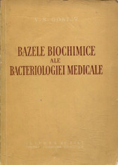 Bazele biochimice ale bacteriologiei medicale - Autor : V. S. Gostev - 112745 foto