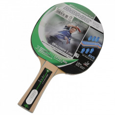 Paleta ping pong Schildkrot - Tenis de masa - Import Anglia - 2015032718 foto