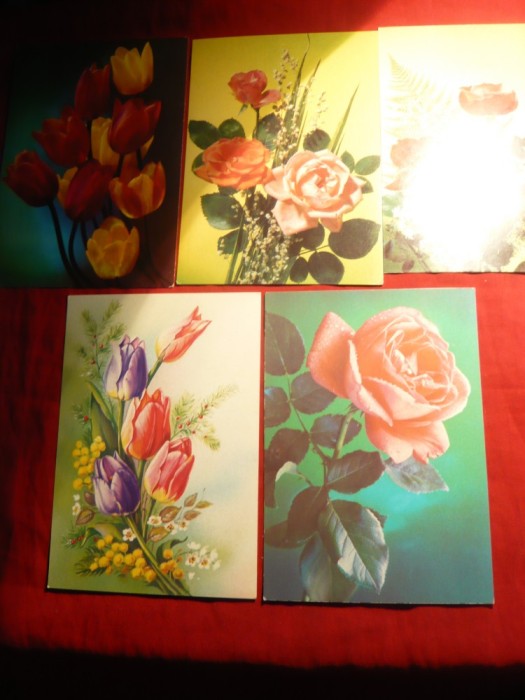 Set 6 Ilustrate - Flori - URSS 1979-1991 , cu marca fixa 5 kop