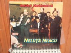 - Y- NELUTA NEAGU - MUZICA LAUTAREASCA - DISC VINIL LP foto