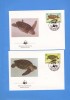 FDC TIMBRE BROASTE TESTOASE ANGUILLA 1983, Stampilat