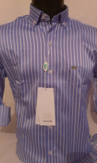 CAMASA /CAMASI LACOSTE BUMBAC 100% slim fit MODEL NOU DE CALITATE!!! foto