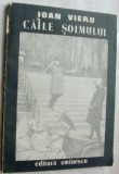 IOAN VIERU - CAILE SOIMULUI (POEZII) [volum de debut, 1990 / cuvant inainte de CONSTANTIN CIOPRAGA]