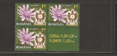 Romania LP 1966 Ceasul florilor bloc de posta 1L-MNH-119 foto