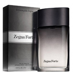 Ermenegildo Zegna Forte EDT 100 ml pentru barbati foto