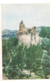 % carte postala (ilustrata) -CASTELUL BRAN, Necirculata, Printata