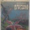 B.M. ZAVADOVSKI - ANIMALE SI PLANTE