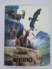 LES ANIMAUX DES MONTAGNES/ M.A HAMMERLIN, BELGIA/1972 foto