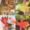CARTI POSTALE MAXIME ROMANIA 1990 GRADINA BOTANICA -CLUJ 1920-1990 5 BUC
