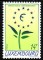 Foto  - 1