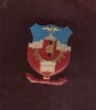 INSIGNA ORASUL NOSTRU BUCURESTI