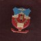INSIGNA ORASUL NOSTRU BUCURESTI
