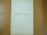 Comoara muncii societate economie statut Bucuresti 1903