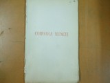 Comoara muncii societate economie statut Bucuresti 1903