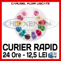 SET CARUSEL FLORI USCATE - DIVERSE CULORI - DECORATIUNI UNGHII MANICHIURA GEL UV foto