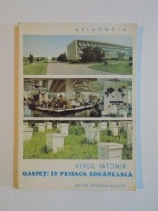 OASPETI IN PRISACA ROMANEASCA de VIRGIL TATOMIR, 1979 foto