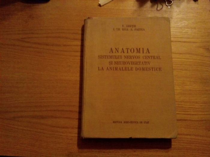 ANANATOMIA SISTEMULUI NERVOS CENTRAL SI NEUROVEGETATIV LA ANIMALE DOMESTICE