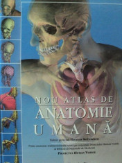 NOU ATLAS DE ANATOMIE UMANA-THOMAS O.McCRACKEN,RICHARD WALKER foto