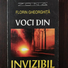 VOCI DIN INVIZIBIL - Florin Gheorghita - 1995, 224 p