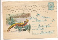 % plic--(intreg postal)-fauna -FAZAN AURIU cod 43-64