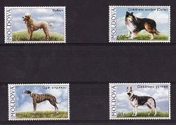C4313 - Moldova 2006 - Caini,cat.nr.489-92 neuzat,perfecta stare
