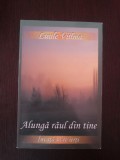 ALUNGA RAUL DIN TINE - INVATA SA TE IERTI - Luule Viilma - 2008, 286 p., Alta editura