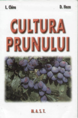 Lenuta Chira - Cultura prunului - 458 foto