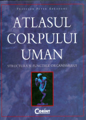 Peter Abrahams - Atlasul corpului uman. Structura si functiile organismului - 13409 foto