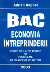 Adrian Anghel - Bac. Economia intreprinderii. Teste grila de teorie si probleme cu raspunsuri si rezolvari. - 14929 foto