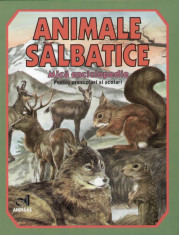 Animale salbatice - 1753 foto