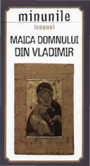 Minunile icoanei Maica Domnului din Vladimir - 1455 foto
