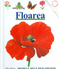 Floarea (cu pagini transparente)/ Cartonata(hardcover) - 25763 foto