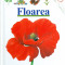 Floarea (cu pagini transparente)/ Cartonata(hardcover) - 25763
