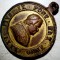 F.579 MEDALIE VATICAN PAPA PIUS IX 1877 BRONZ AURIT 32mm/16,45g