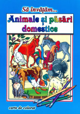 Dana Popescu - Sa invatam... Animale si pasari domestice. Carte de colorat - 13413 foto