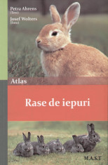 Petra Ahrens (Text) - Rase de iepuri - 27044 foto