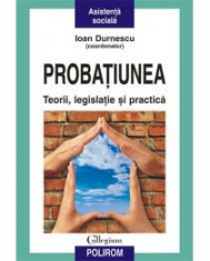 Ioan Durnescu - Probatiunea. Teorii, legislatie si practica - 10159 foto