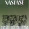 BATALIA PENTRU VIITOR - Adrian Nastase