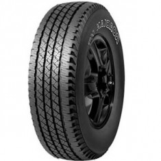 Cauciucuri pentru toate anotimpurile Roadstone Roadian HT ( 265/70 R16 112S ) foto