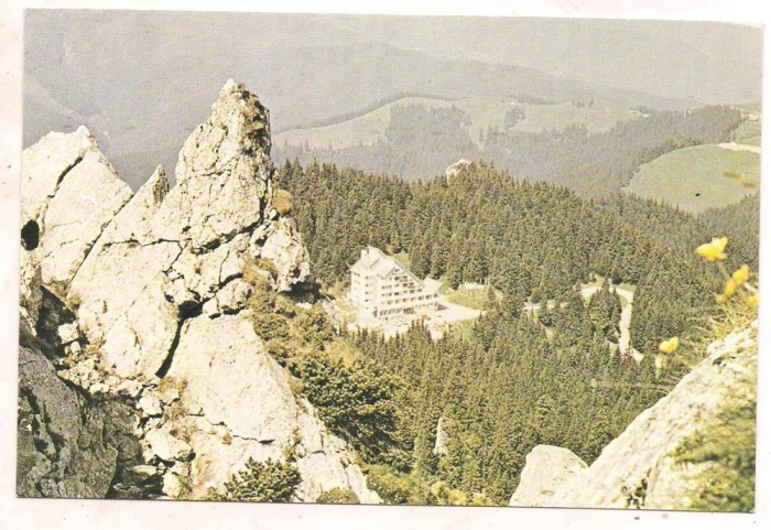 % carte postala (ilustrata) -RARAU