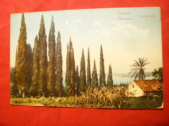 Ilustrata Trstena -Cannosa cu stamp. Sediu Batalion Artilerie 2,circulat Aiud