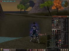 Vand cont Metin2 TIM ! Ninja,donator,level 97. foto
