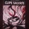 CLIPE SALVATE - Catia Maxim - Editura Nicol, 2008, 159 p.